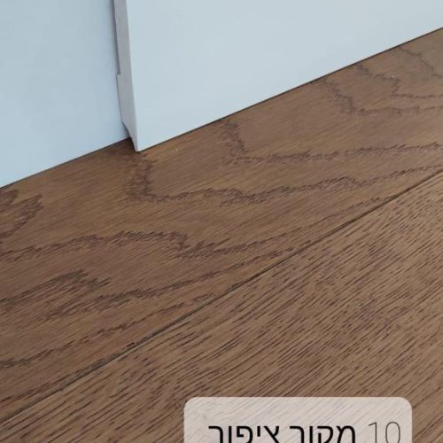 10 ציפור